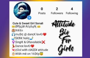 100+ Attitude Bio For Instagram in Hindi & English