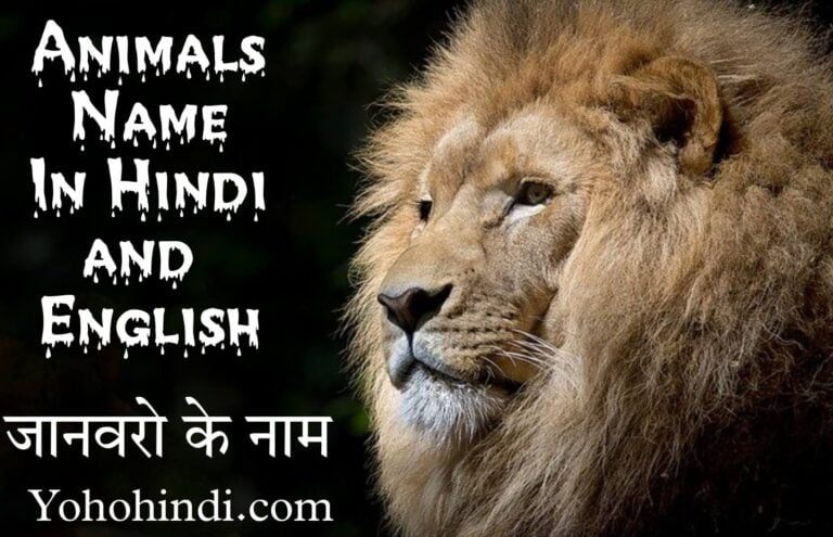 Animals name in hindi