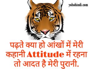 150+ Attitude Captions For Instagram in Hindi 2022