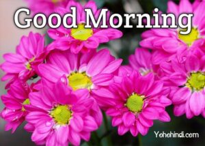 100+ Good Morning Images, Pictures & Beautiful Good Morning Images Download HD (2022)