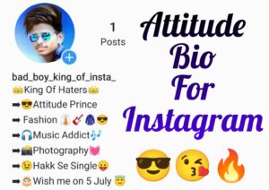 Attitude bio for Instagram
