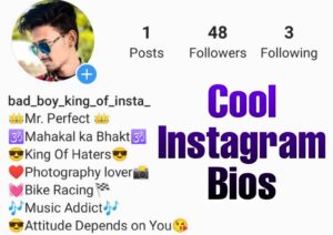 Cool Instagram bios