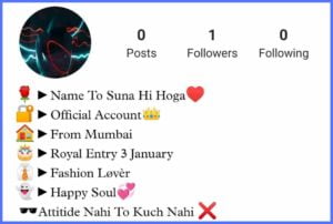 Attitude Bio For Instagram in Hindi