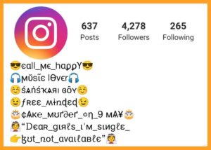 Instagram Bio for Boys in Stylish Font