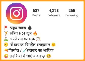 Instagram Bio For Boys in Hindi