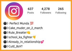 Stylish Bio for Instagram
