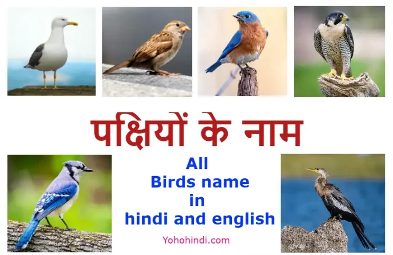 Birds Name in Hindi and English