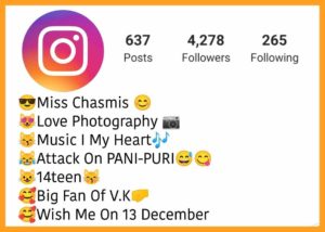 Instagram Bio For 14 Year Girls