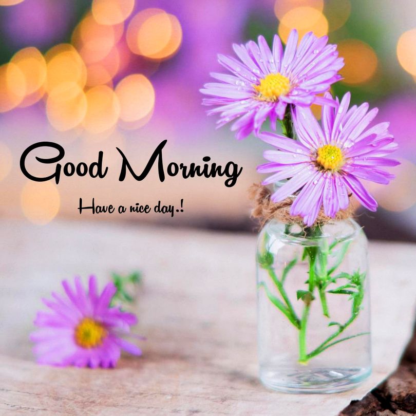 1000+ Beautiful Good Morning Images (New 2023) » 