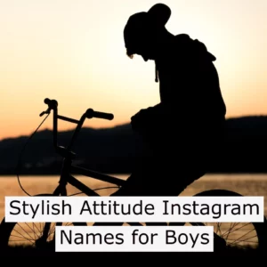 Stylish Attitude Instagram Names for Boys
