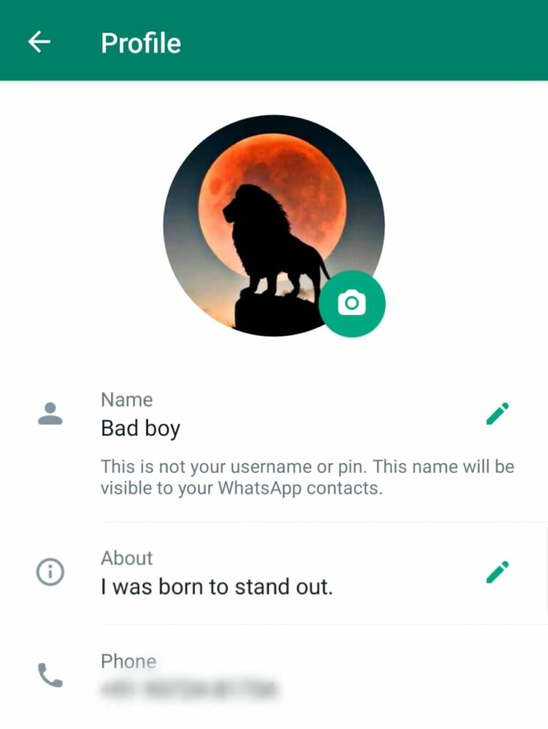 Whatsapp Bio