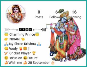 Krishna Bio For Instagram